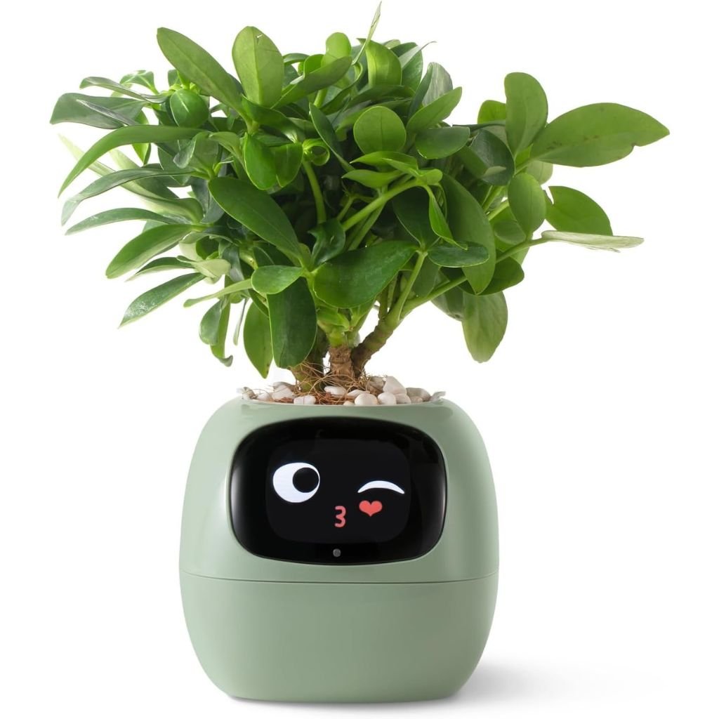Ivy Smart Plant Pot - MoodPeach