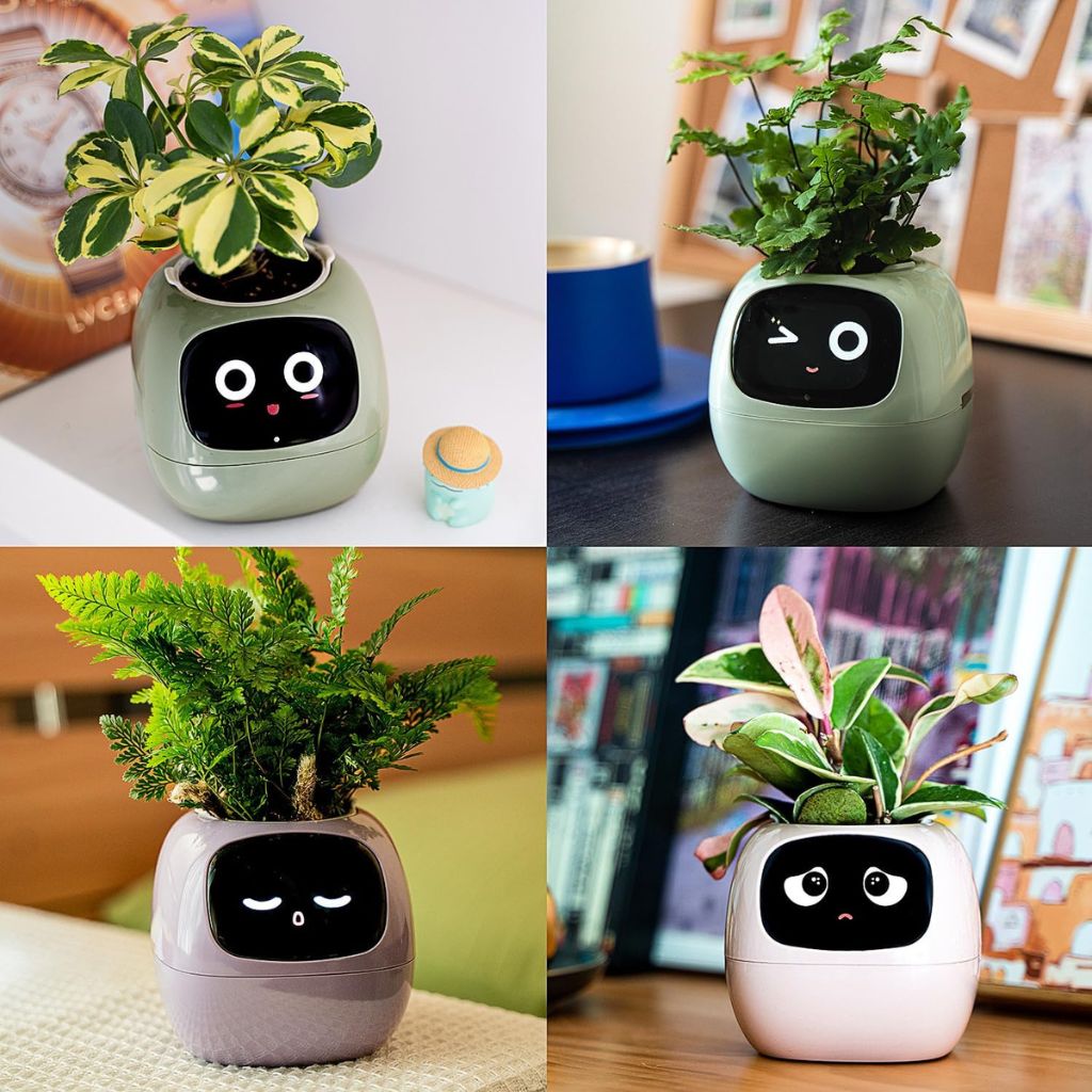 Ivy Smart Plant Pot - MoodPeach